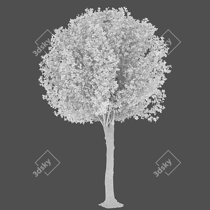 Round Shape Tree with Vray Materials 3D model image 3