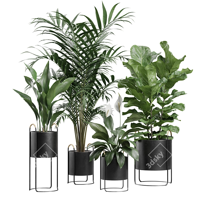 Exotic Indoor Plants Collection Pack 3D model image 1