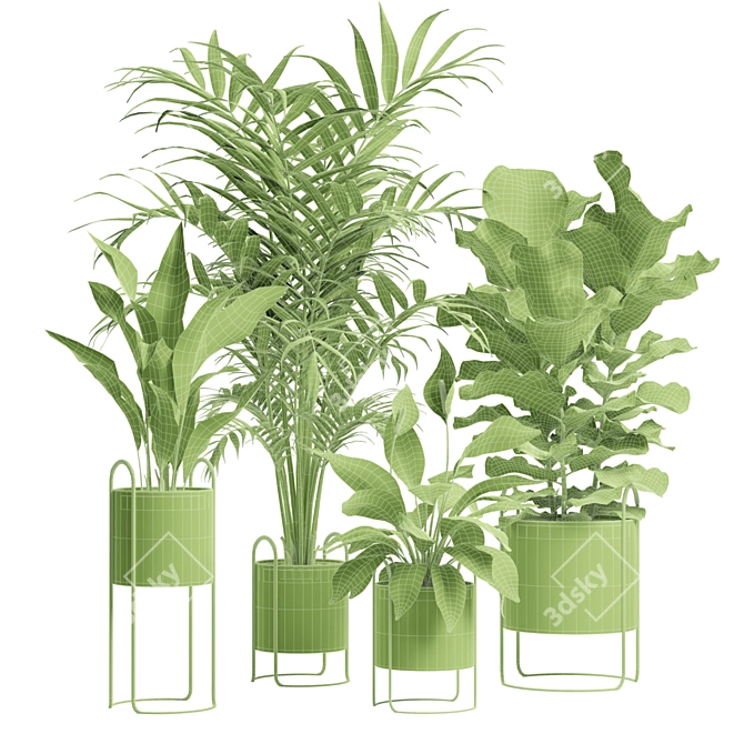 Exotic Indoor Plants Collection Pack 3D model image 3