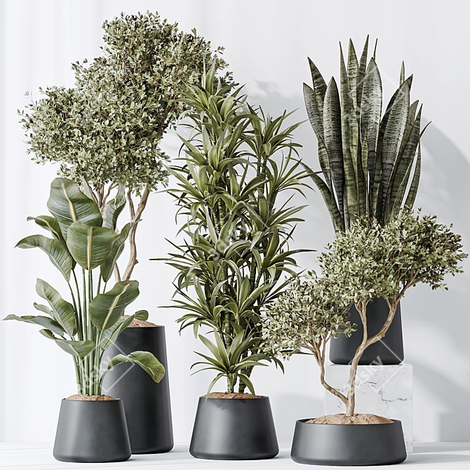 Urban Jungle Plant Set: 5 Varieties 3D model image 2