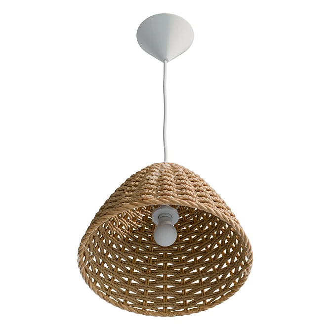 Boho Rattan Ceiling Lamp, Natural 3D model image 4