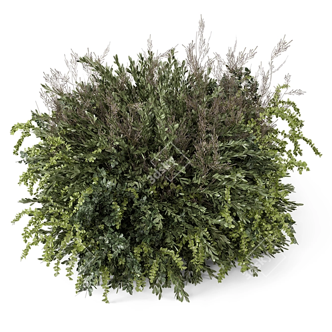 Outdoor Plants Bush Set 2259 3D model image 1