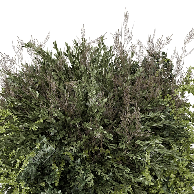 Outdoor Plants Bush Set 2259 3D model image 2