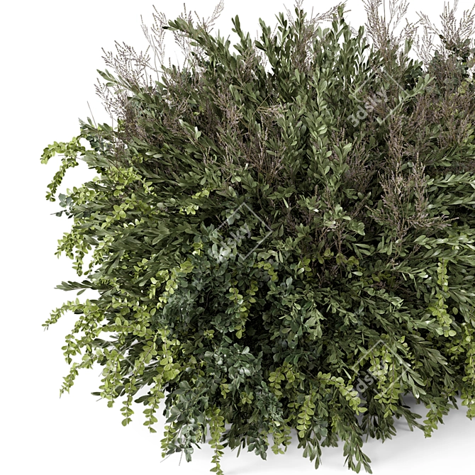 Outdoor Plants Bush Set 2259 3D model image 4