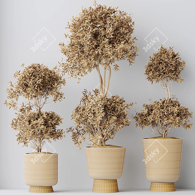 Elegant Olive Tree Set for Stylish Home 3D model image 5