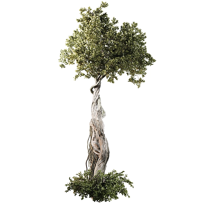 High Quality Jungle Tree Model 3D model image 2