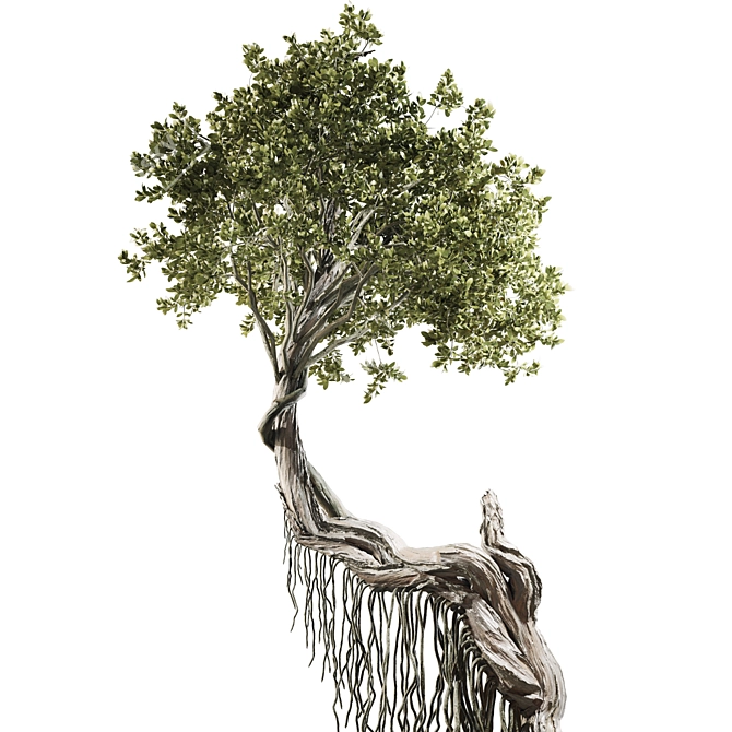 High Quality Jungle Tree Model 3D model image 4