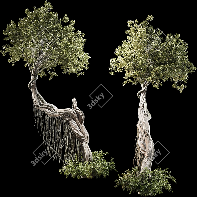 High Quality Jungle Tree Model 3D model image 5