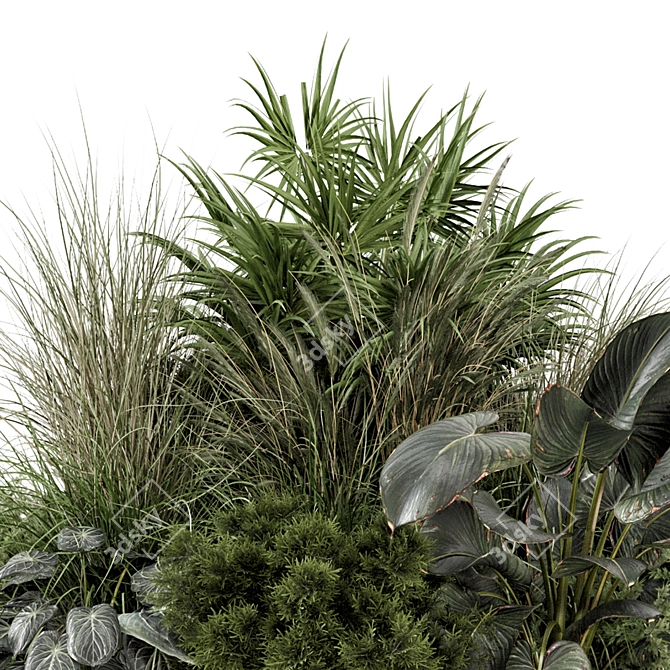 Outdoor Plants Bush Set 2260 3D model image 3