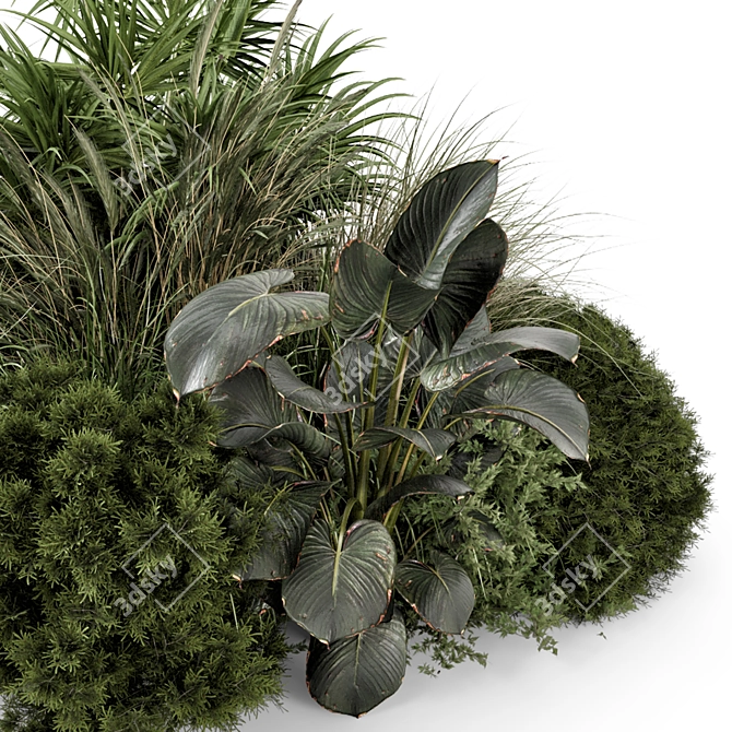 Outdoor Plants Bush Set 2260 3D model image 4