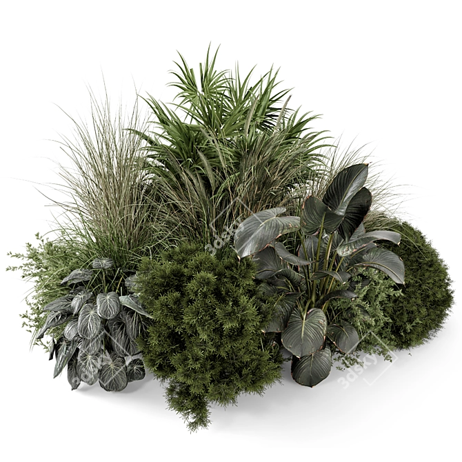 Outdoor Plants Bush Set 2260 3D model image 5