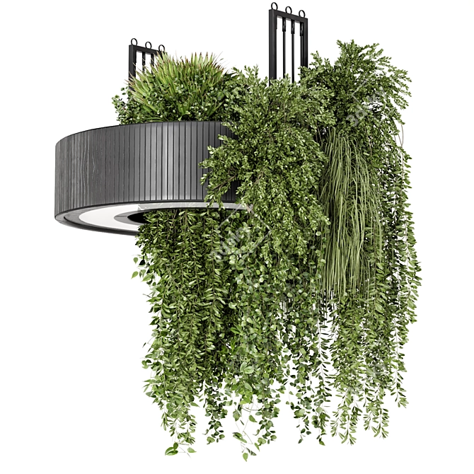 Circle Base Indoor Hanging Plants 3D model image 1