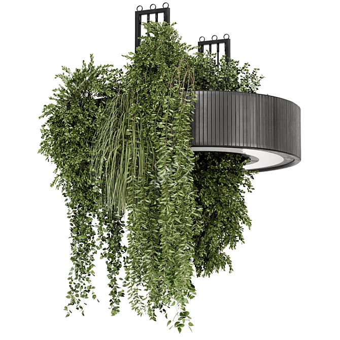 Circle Base Indoor Hanging Plants 3D model image 2