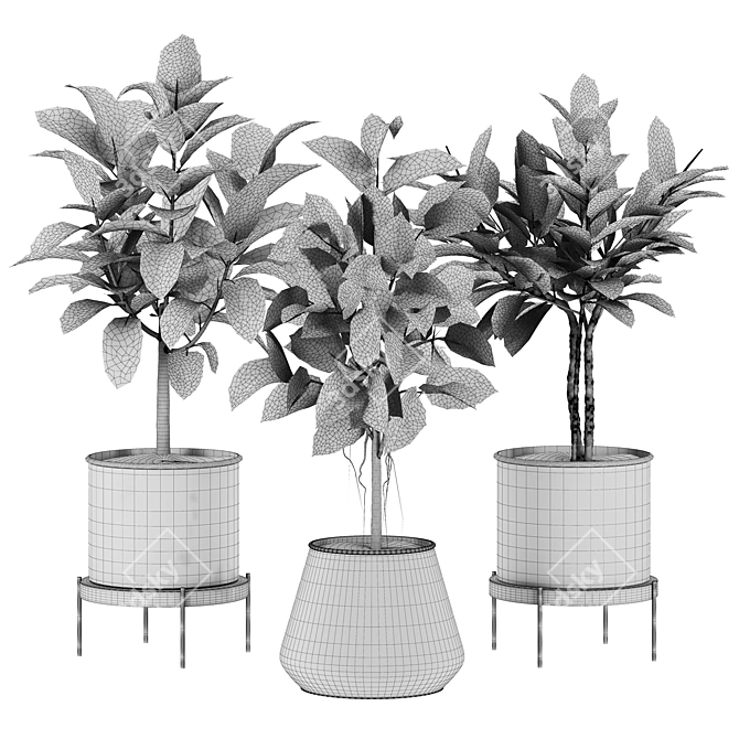 Premium Plant Set 3D Model 3D model image 2