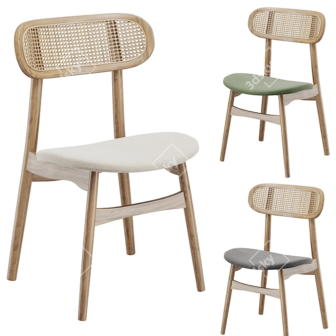  Stylish Rattan Dining Chair 3D model image 5