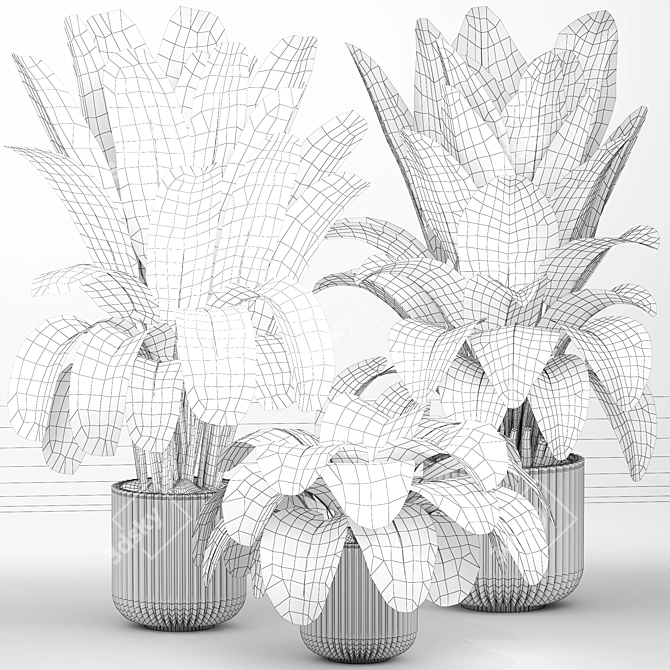 Detailed Indoor Plant 3D Model 3D model image 5