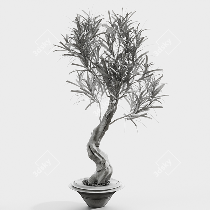 Twig Vases Set Display Stand 3D model image 2