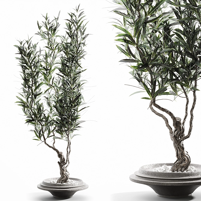 Elegant Branches in Clear Vases 3D model image 1