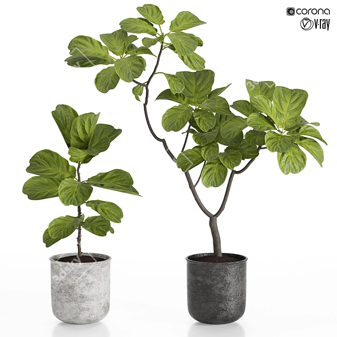 High-Resolution Plants Set for 3D Renders 3D model image 5