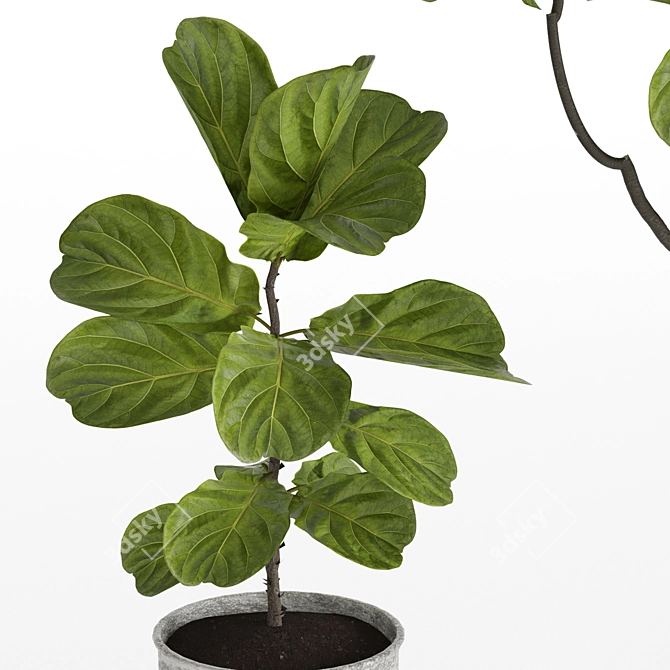 High-Resolution Plants Set for 3D Renders 3D model image 6