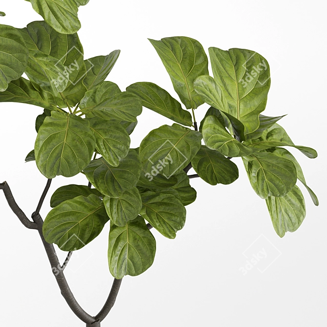 High-Resolution Plants Set for 3D Renders 3D model image 1