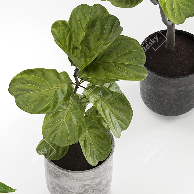 High-Resolution Plants Set for 3D Renders 3D model image 2