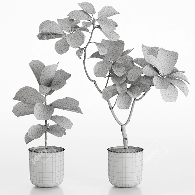 High-Resolution Plants Set for 3D Renders 3D model image 4