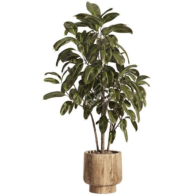 Natural Wood Indoor Plant Decor 3D model image 7