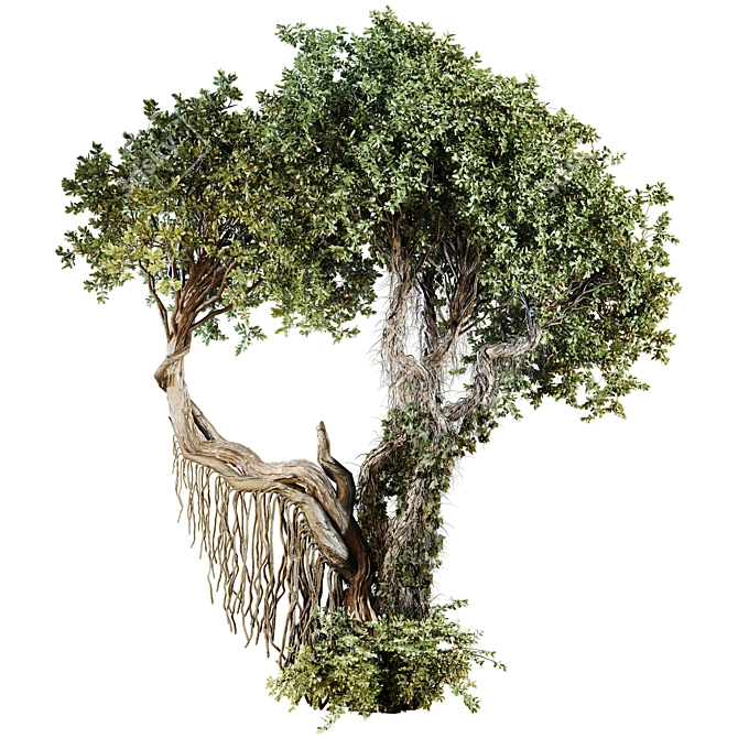 High-Quality Jungle Tree Model 3D model image 1