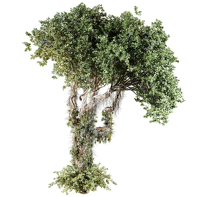 High-Quality Jungle Tree Model 3D model image 3