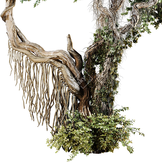 High-Quality Jungle Tree Model 3D model image 4