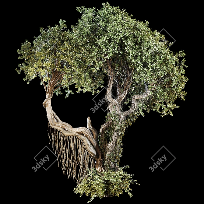 High-Quality Jungle Tree Model 3D model image 7