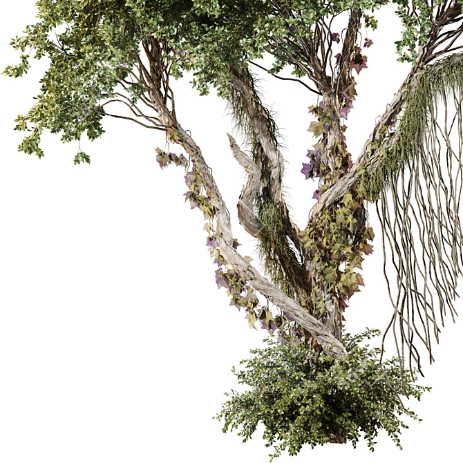 Jungle Tree & Ivy Plants Kit 3D model image 3