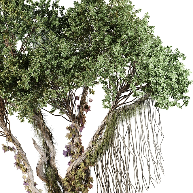 Jungle Tree & Ivy Plants Kit 3D model image 5