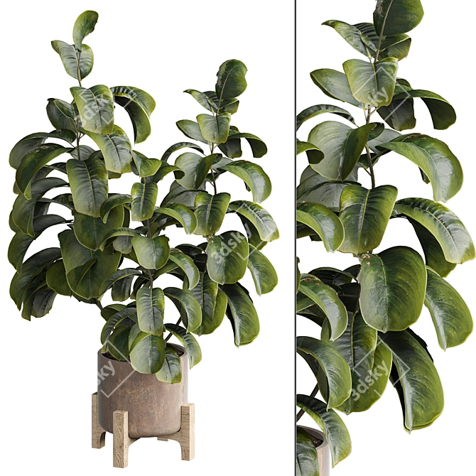 Modern Indoor Plant 515 Design 3D model image 1