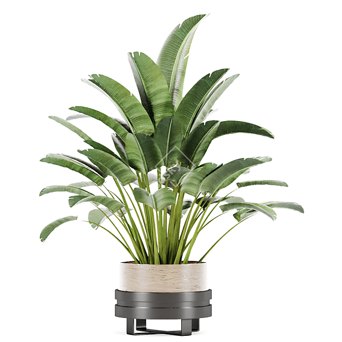 PBR Indoor Plant Set 02 3D model image 4