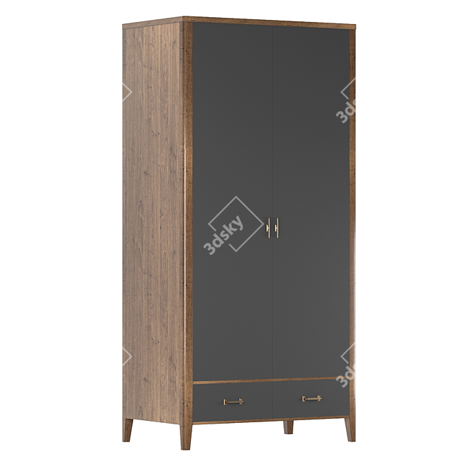 Paris Chic Two-Door Wardrobe 3D model image 1