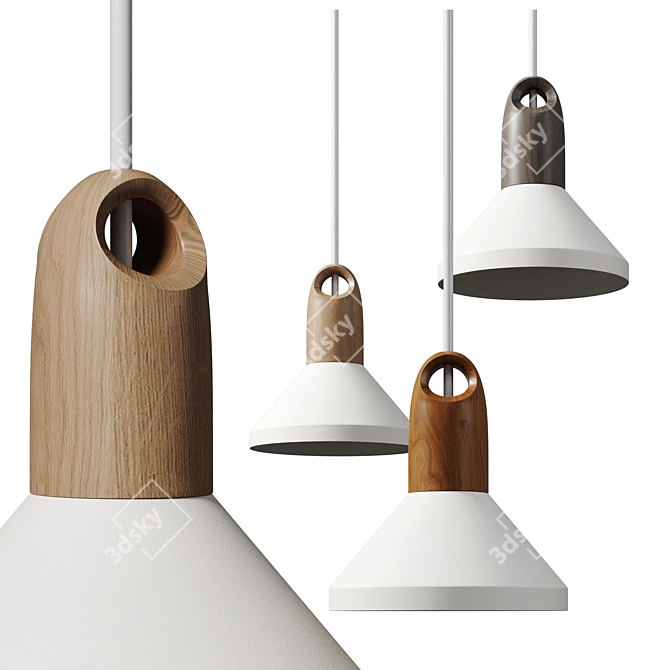 Rustic Industrial Pendant Light 3D model image 1