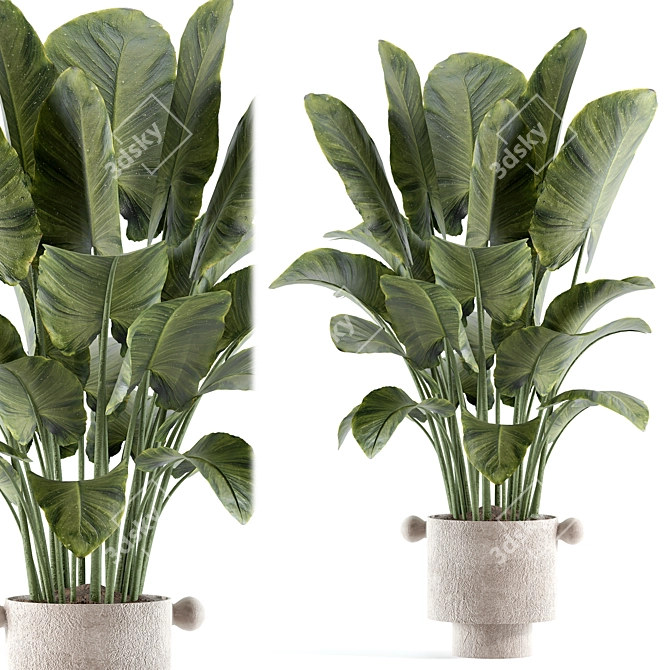 Modern Model Indoor Plant 206 3D model image 1