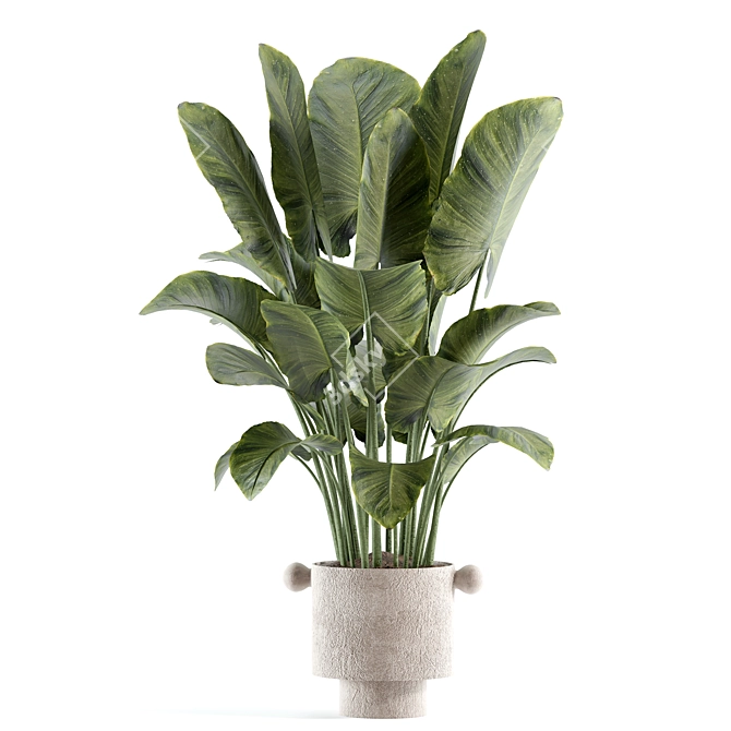 Modern Model Indoor Plant 206 3D model image 2