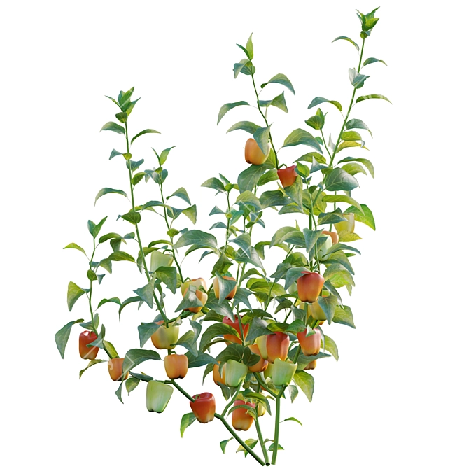 Versatile 3D Plant Models Solution 3D model image 2