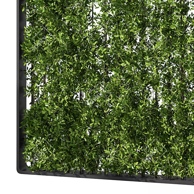 Contemporary Vertical Garden Partition 3D model image 2