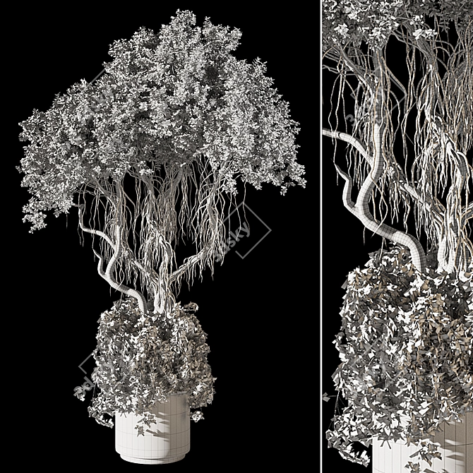 Premium Bonsai Tree 3D Model 3D model image 6