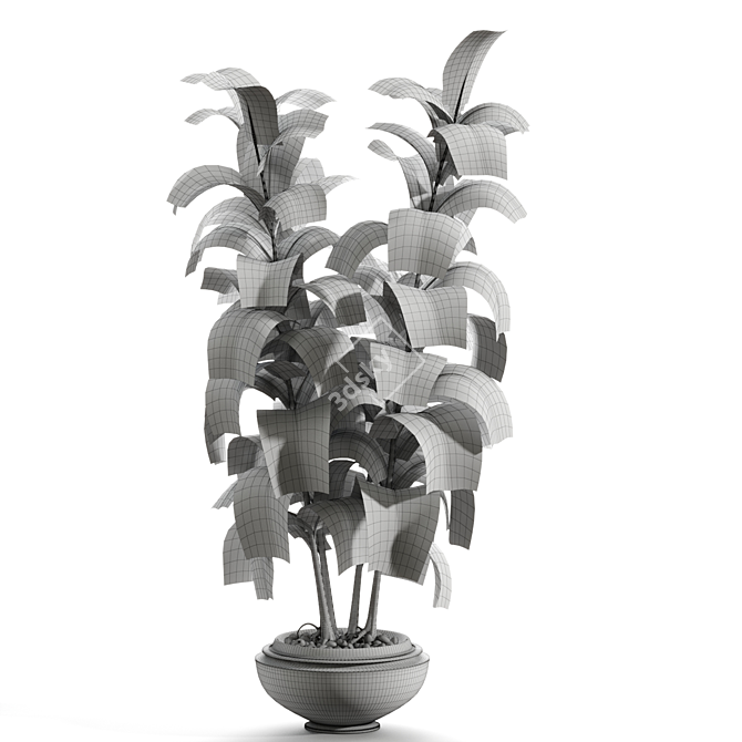 Lush Rubber Tree Miniature 3D model image 2