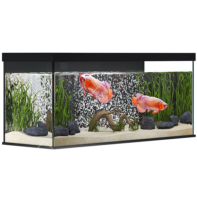 Elegant Arowana 3D Aquarium Decor 3D model image 2