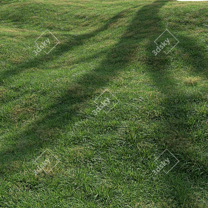 High-Quality Landscaping Tall Grass 3D model image 1