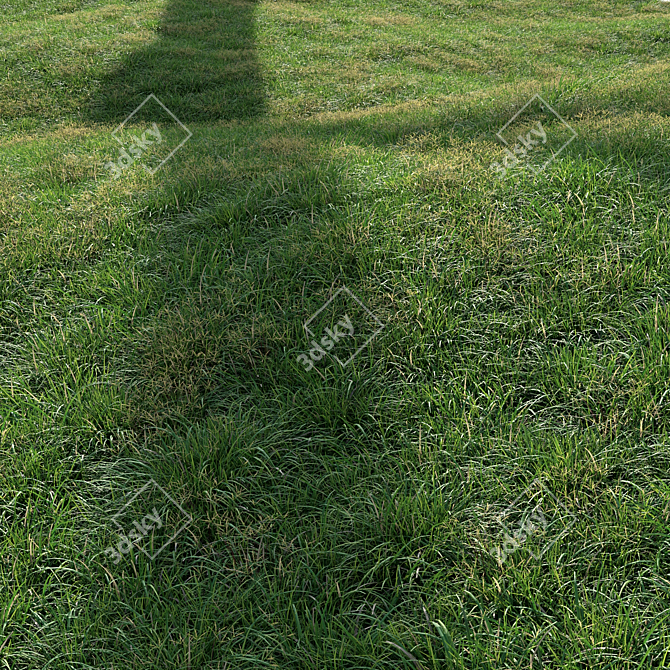 High-Quality Landscaping Tall Grass 3D model image 3