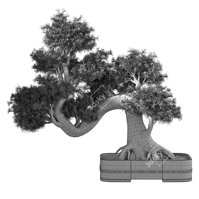 Zen Bonsai Tree Set 3D model image 4