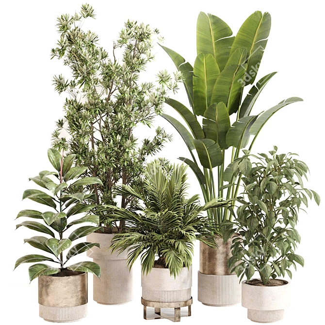 Modern Indoor Plant Decor Set 3D model image 1