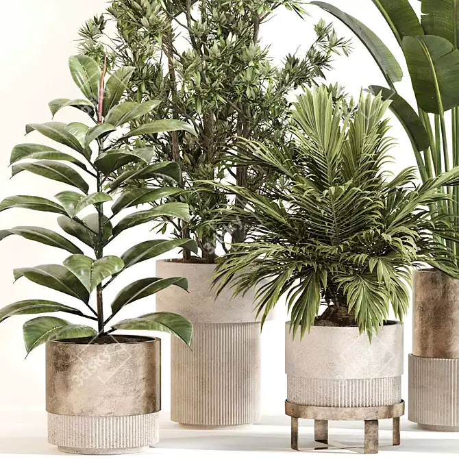 Modern Indoor Plant Decor Set 3D model image 4